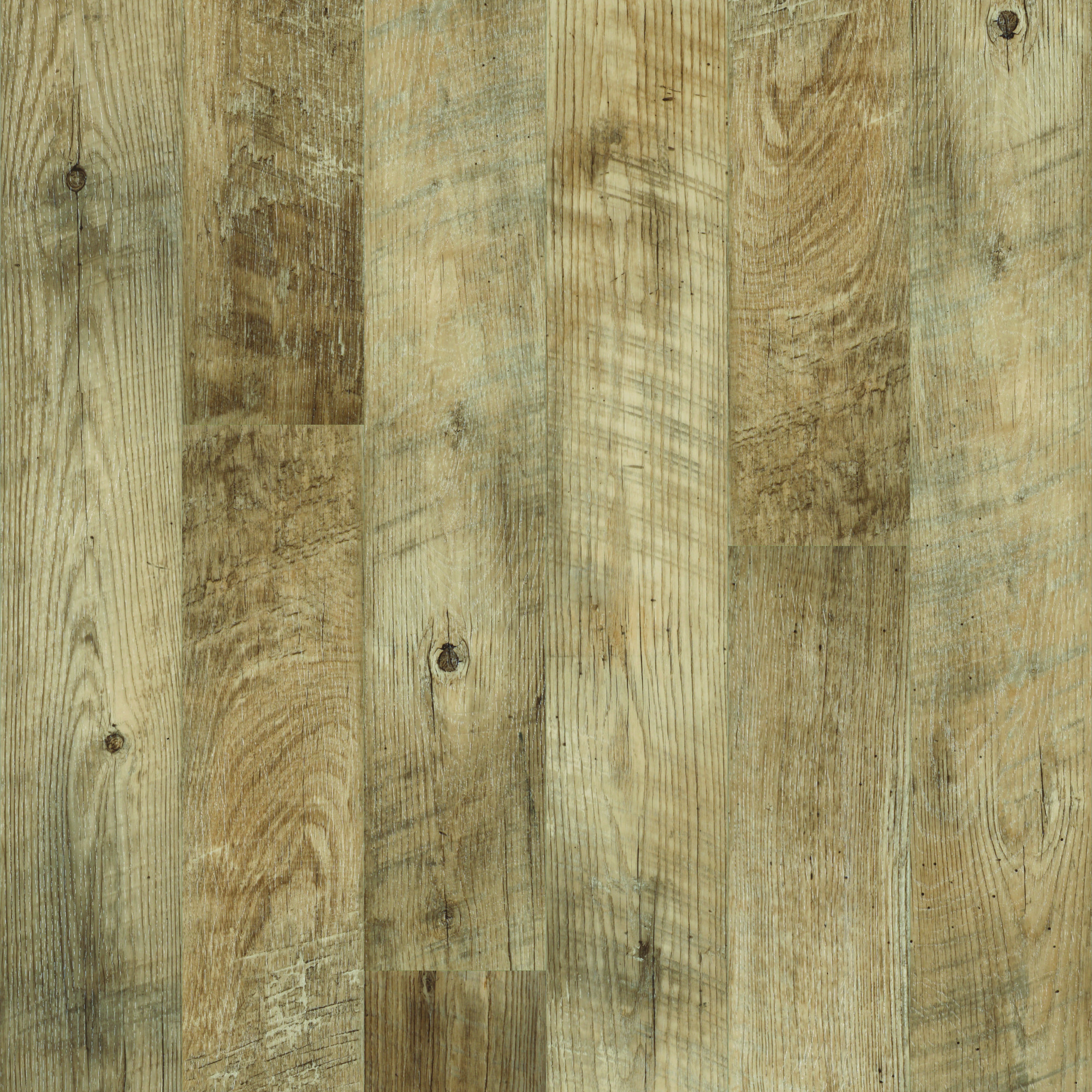 邦楽 ivy tone Duca ivy tone｜ALBUM｜Duca｜Duca ∞stories