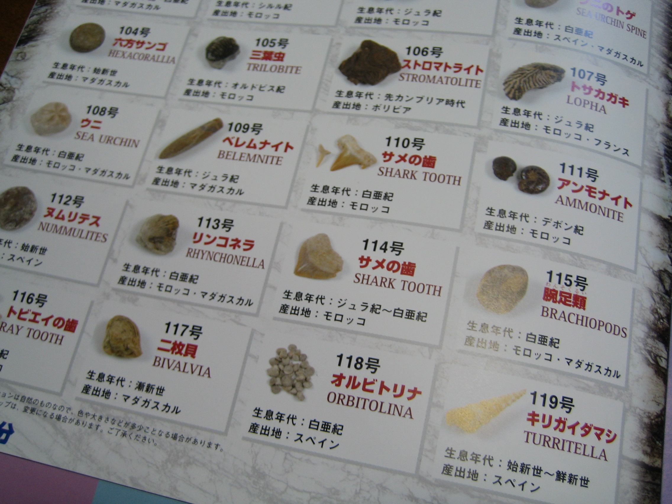 トレジャー・ストーン: みっつーの理科室からのひとり言