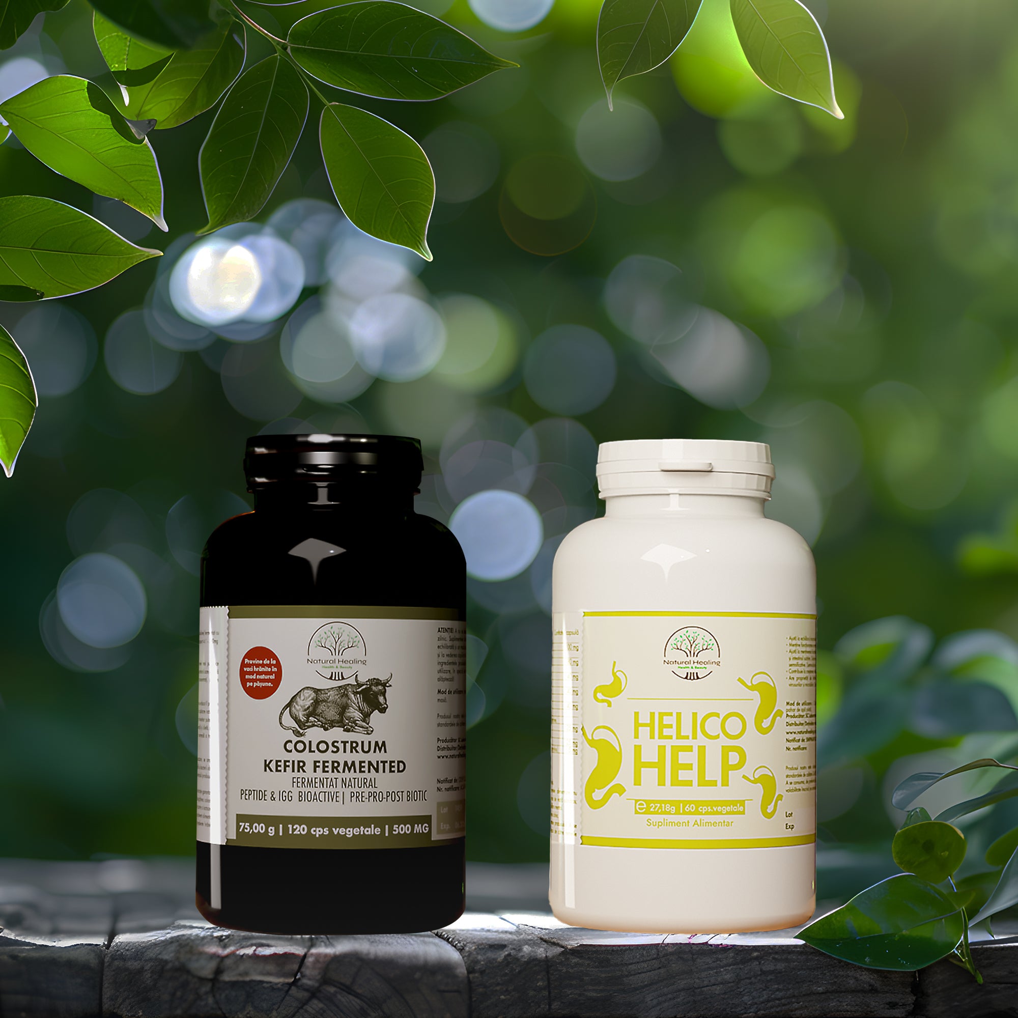 x_ajutor_in_Helicobacter_pylor