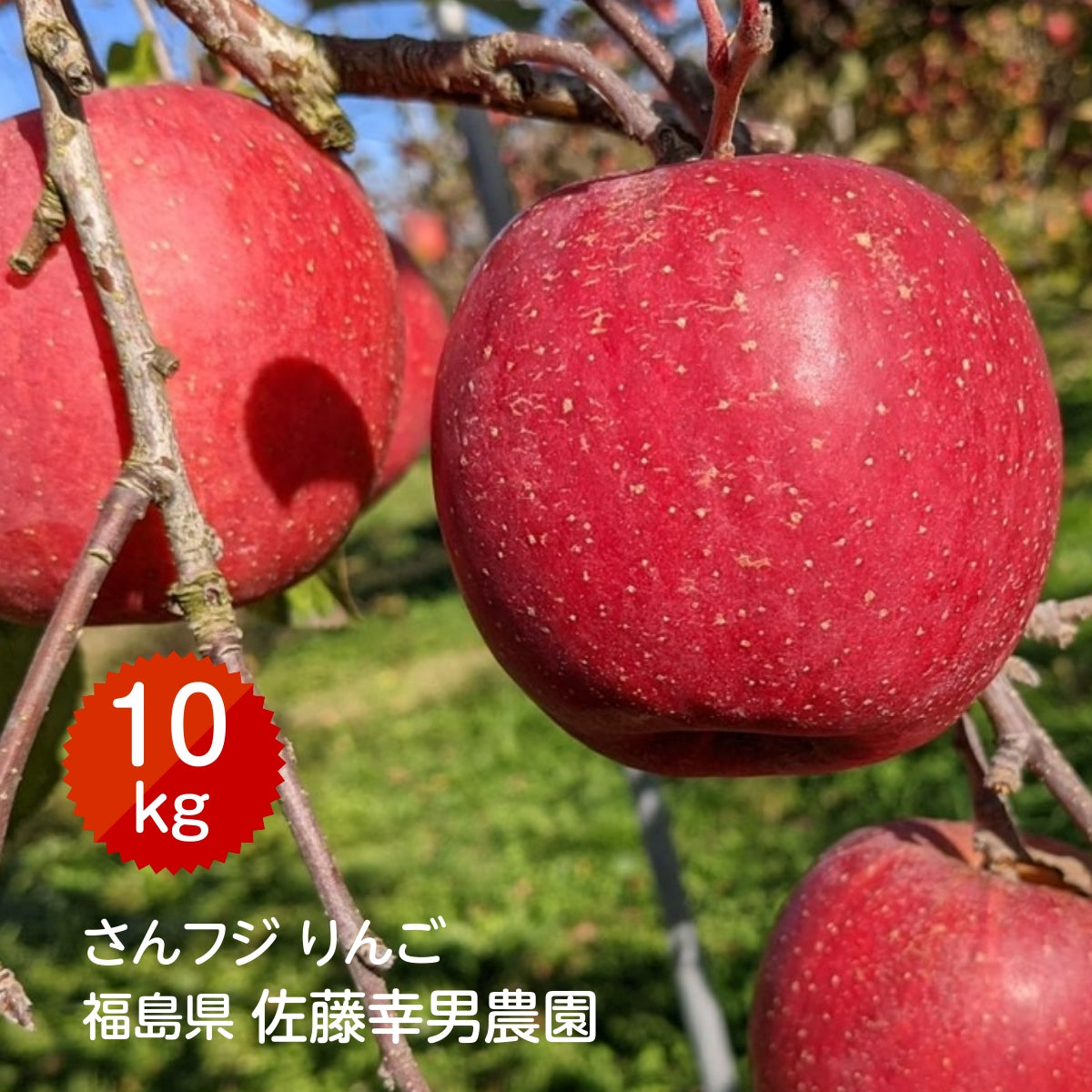 110kg.jpg?v=1740459665