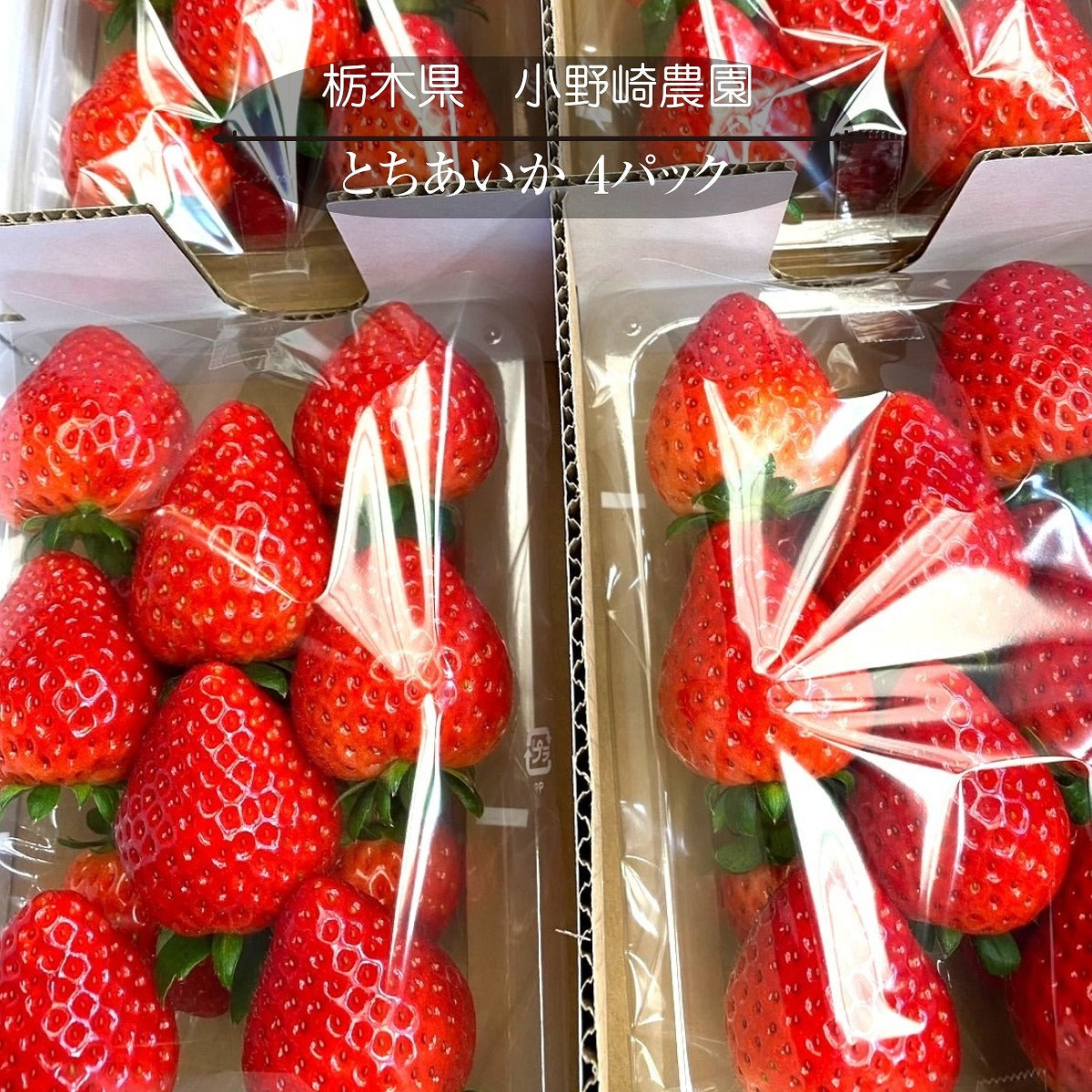 いちご 【小野崎農園】 とちあいか 大玉 Aサイズ 280g 8～12粒 ×4