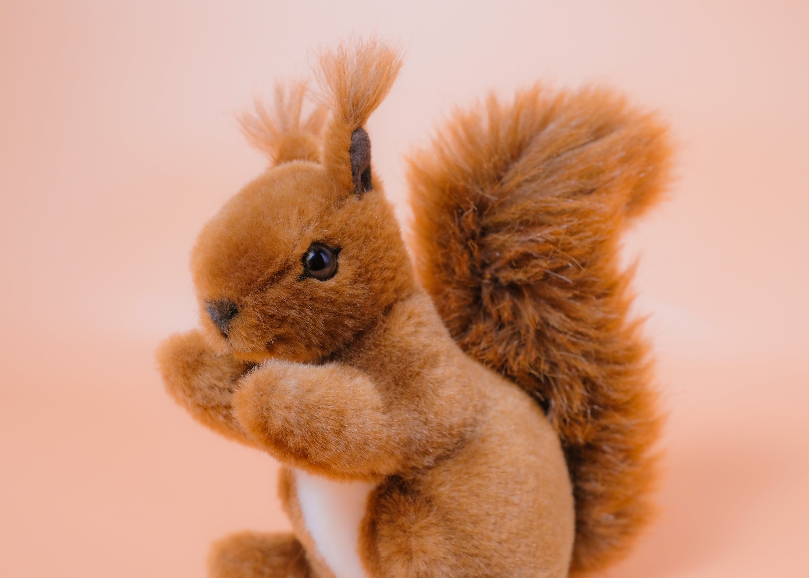 子りす – niiiwa