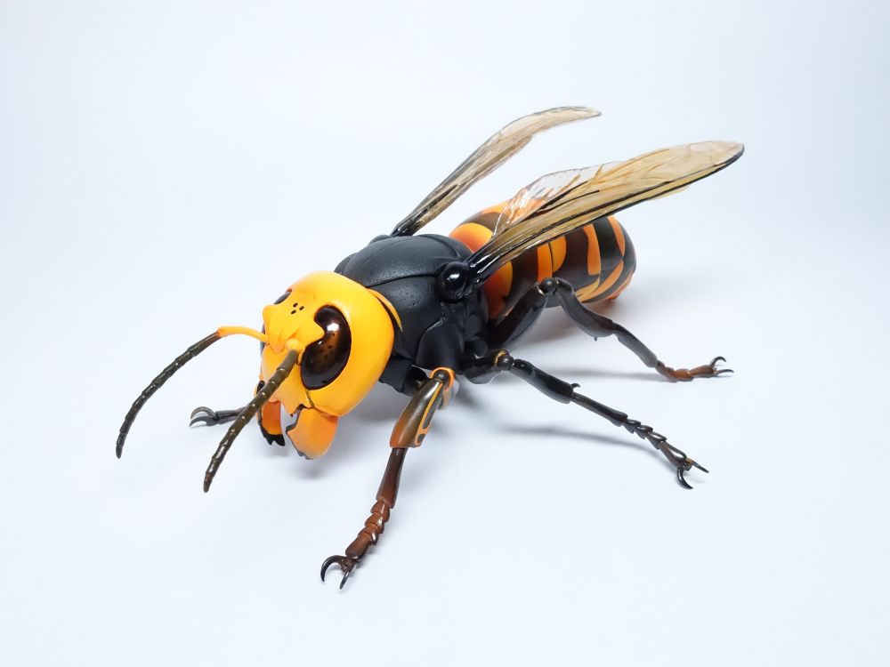 REVOGEO オオスズメバチ