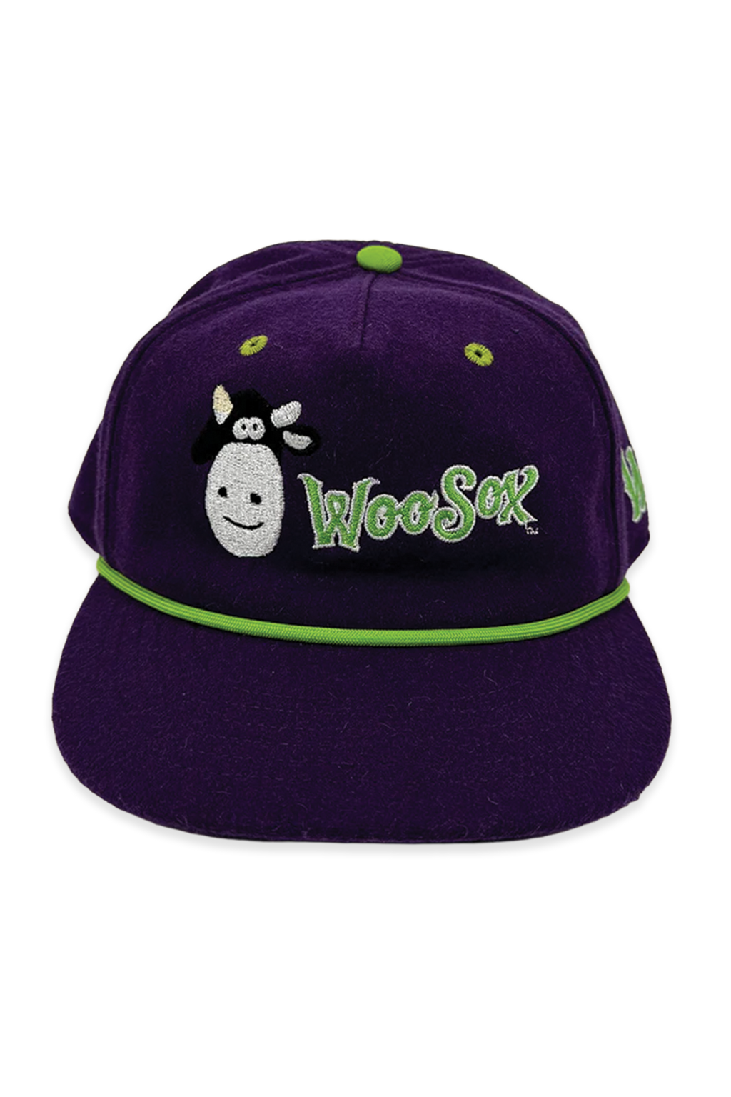 dinosaur jr. x worcester red sox ] the wooly – Official League