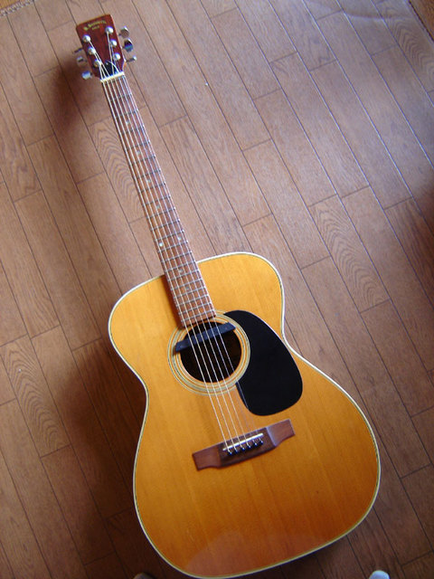 KISO SUZUKI VIOLIN CO.,LTD. F-120 #21016: og3の自由帳