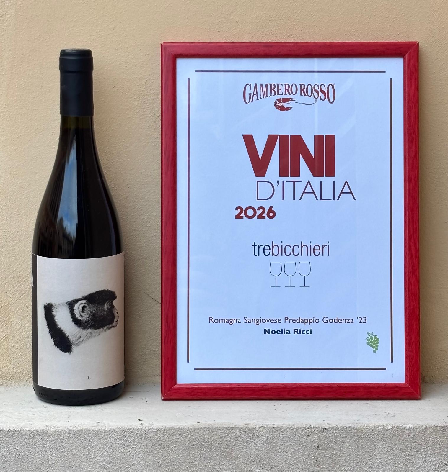 Gambero Rosso Vini d'Italia 2026: Our Producers' Winners