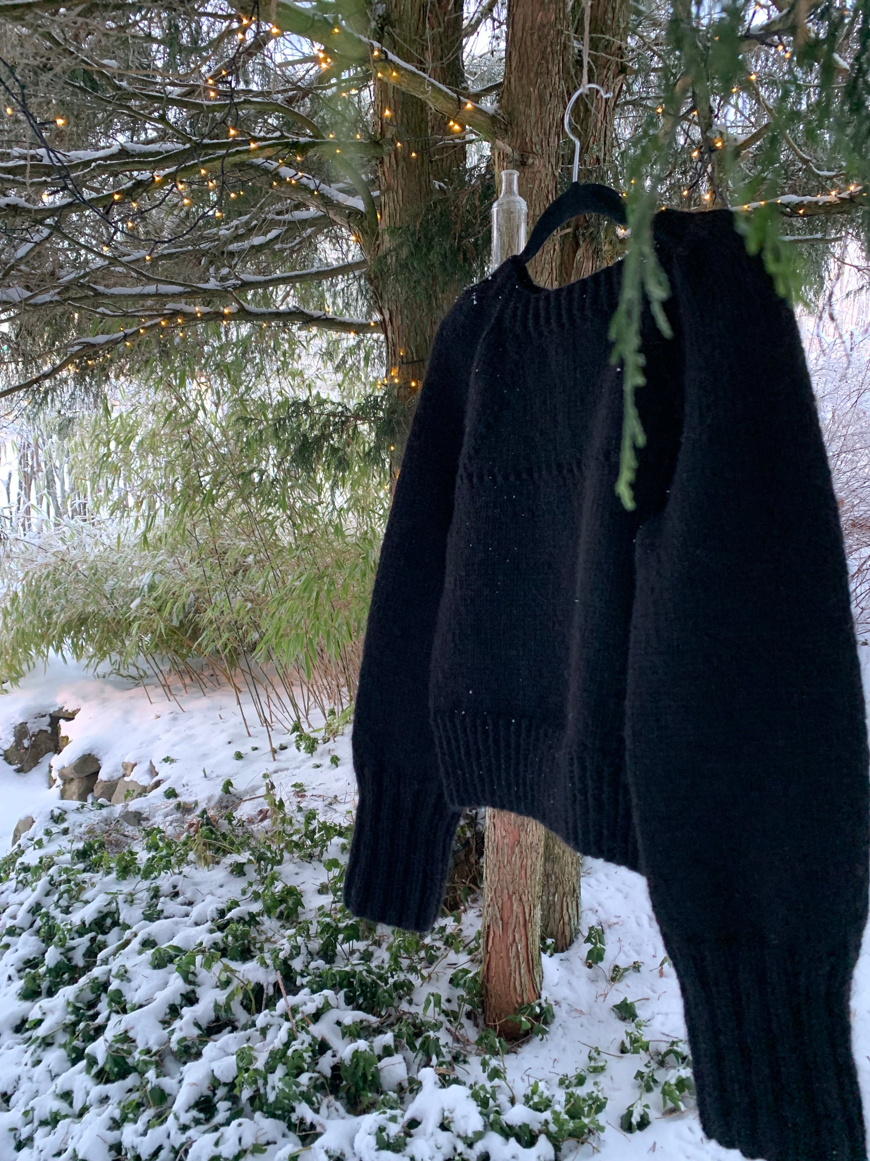 IMG_2496.jpg?v=1727723031