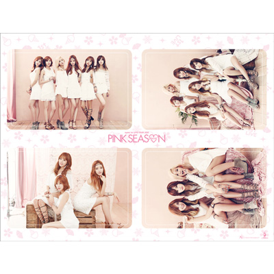 Apink 1st LIVE TOUR 2015 ～PINK SEASON～ 同時生中継 | apink-mobile