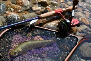 ネイティブスタッフ西村：3ピースパックロッド『アルティメイト