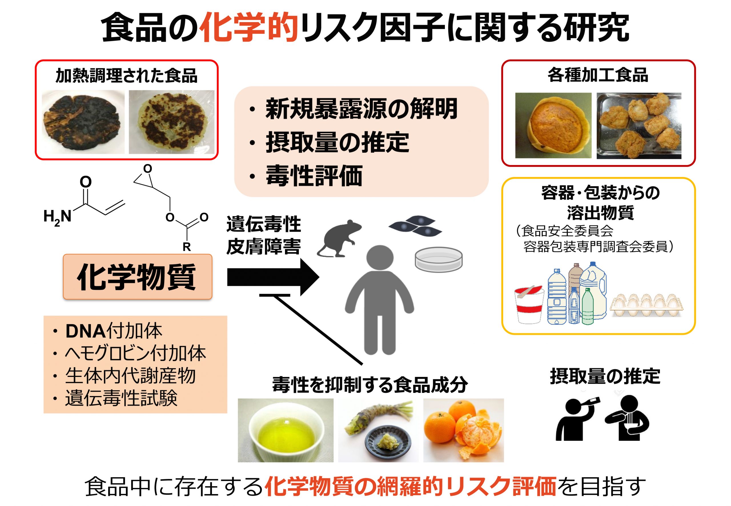 研究内容 | 静岡県立大学 食品栄養科学部／大学院食品栄養環境科学研究