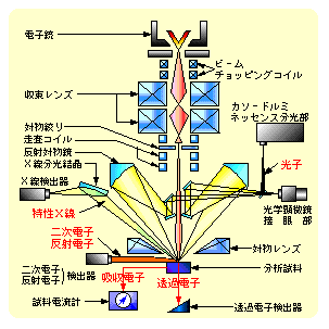 装置概要：電子プローブマイクロアナライザ