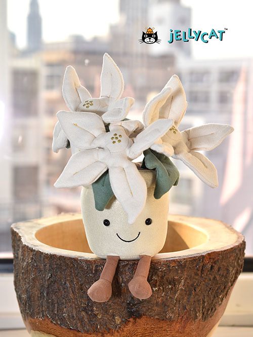 Jellycat Amuseable Gold Poinsettia ジェリーキャット 白い花