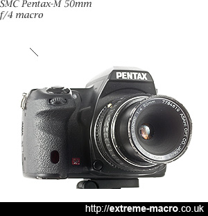 SMC Pentax-M 50 mm f4 macro, a gorgeous manual macro lens for pentax