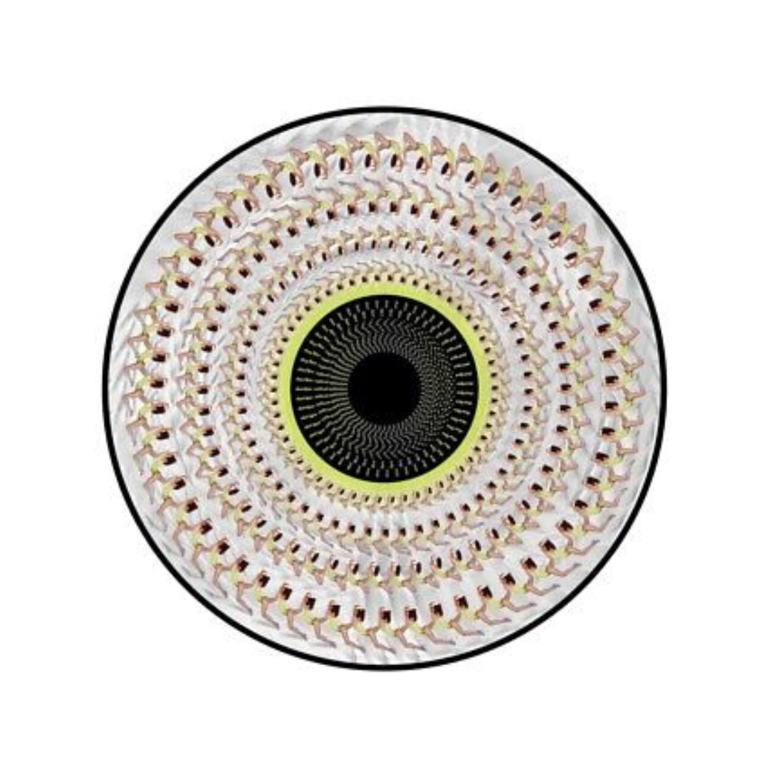 Radical Optimism - Limited Zoetrope Picture Disc Vinilo Edicion