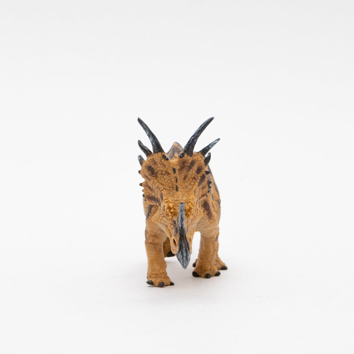Styracosaurus Soft Model – Favorite official website
