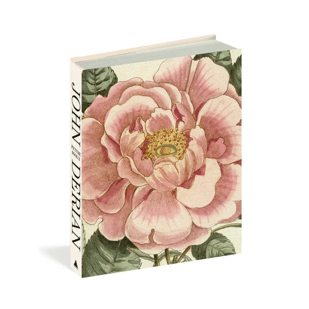 JOHN DERIAN】ピクチャーブック Picture Book II / signed | フィール