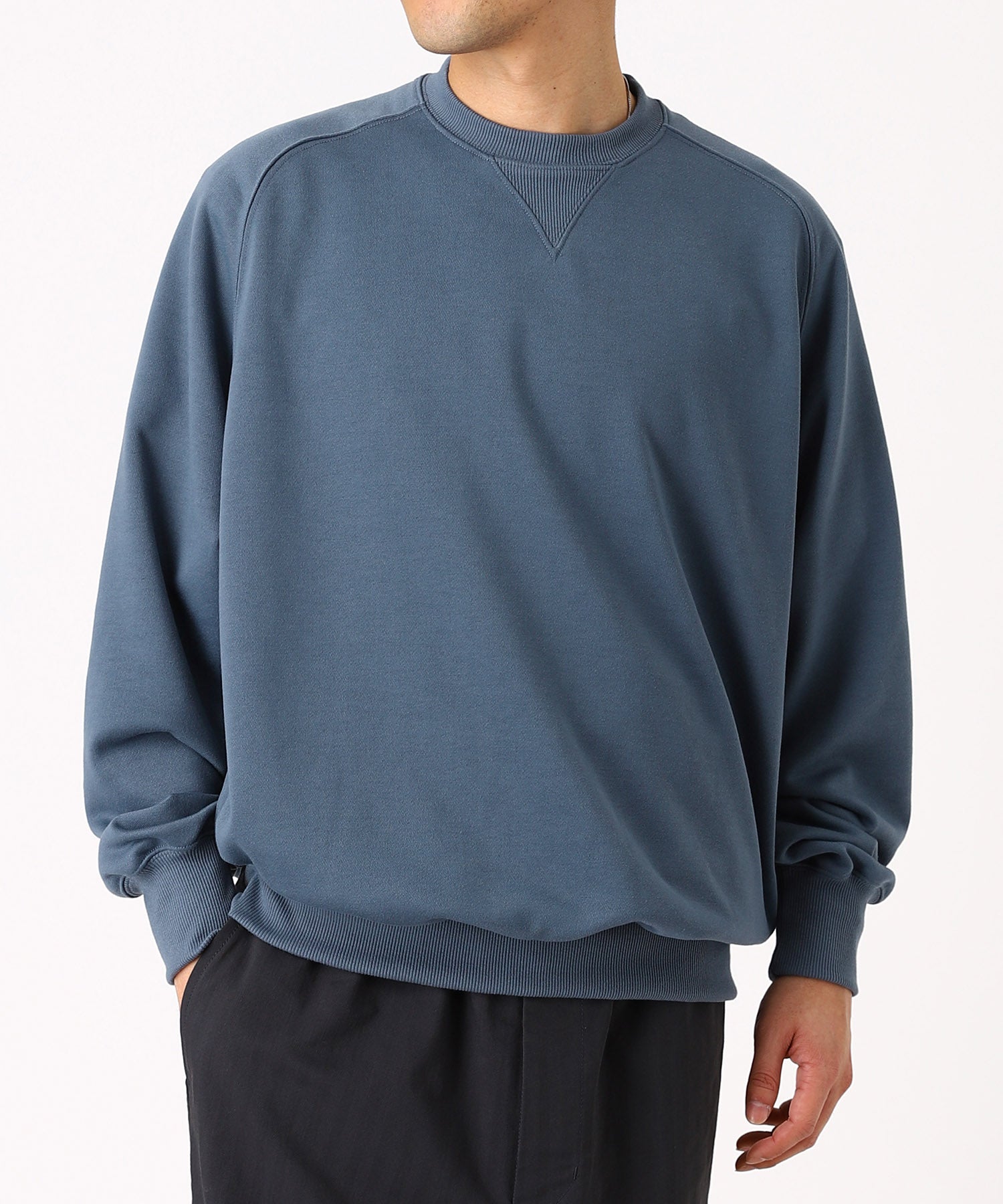 TECH SWEAT CREW FREEDOM SLEEVE - DAIWA PIER39 (ダイワピア39