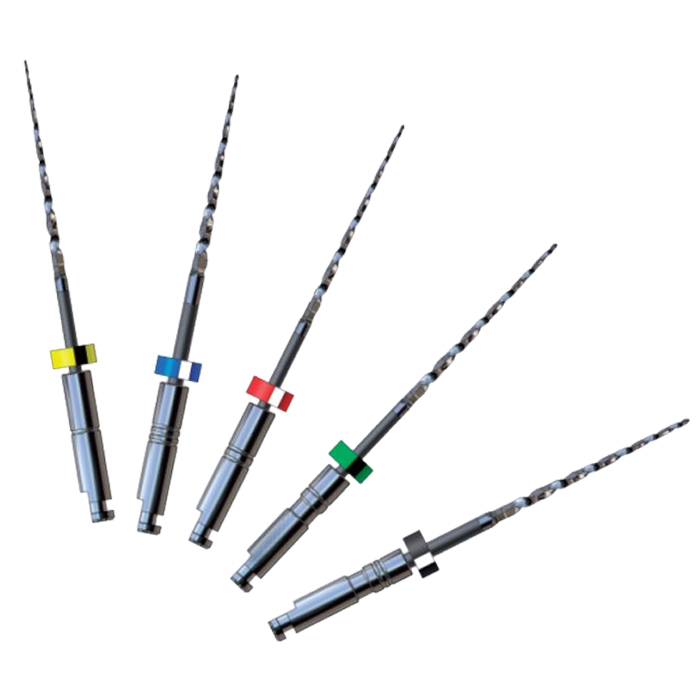 製品詳細「レイス」 | フォルディネット