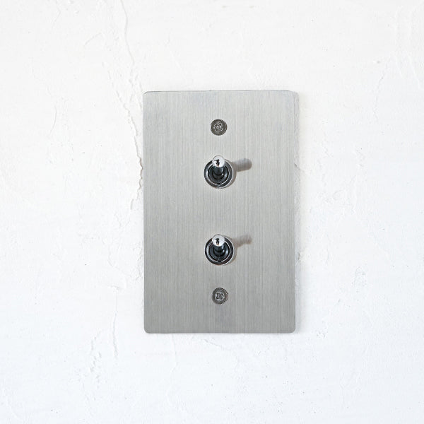 ステンレスプレート2スイッチ | AXCIS ONLINE