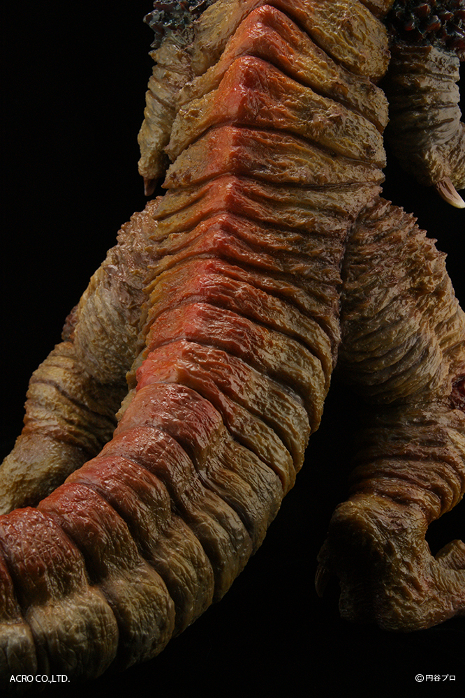 KRS×NIRASAWA ゴモラ | ACRO