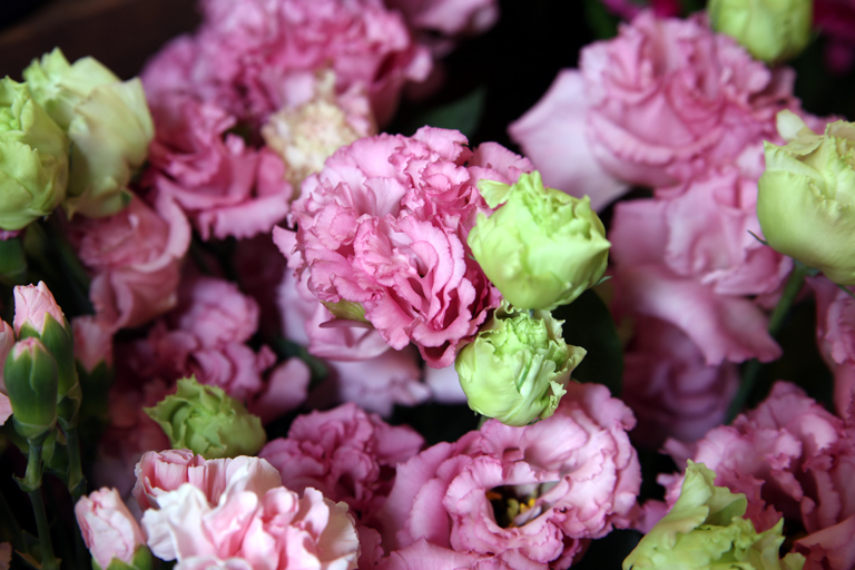 トルコキキョウ グラナスピンク | アクトフラワー東京 スクール＆ショップ