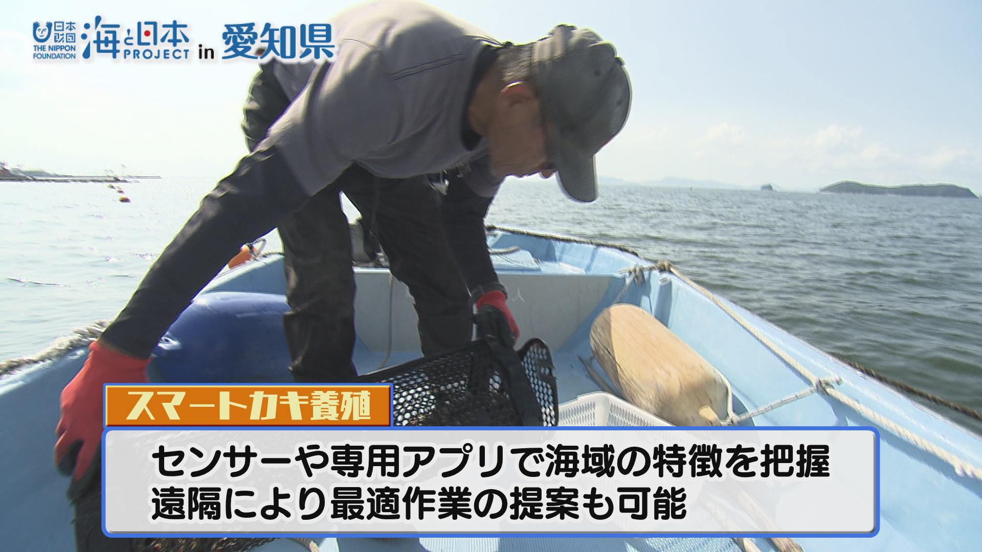 蒲郡市でアサリが激減…打開策にITを活用！「スマートカキ養殖」で
