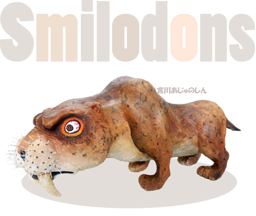 サーベルタイガー（スミロドン） | 造形粘土作家・宮川アジュ