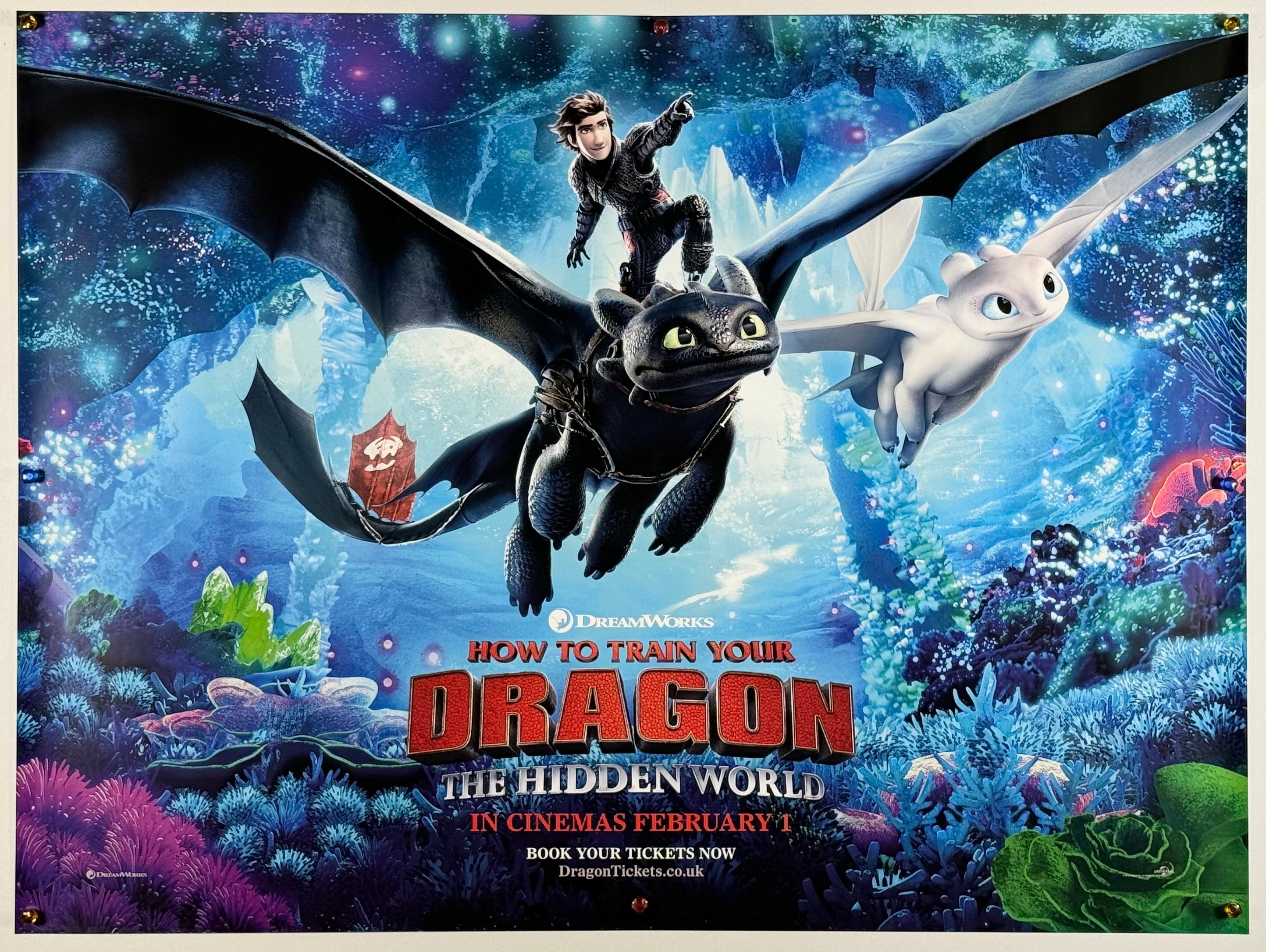 ヒックとドラゴン 聖地への冒険』 海外アニメ イギリス - 海外版映画