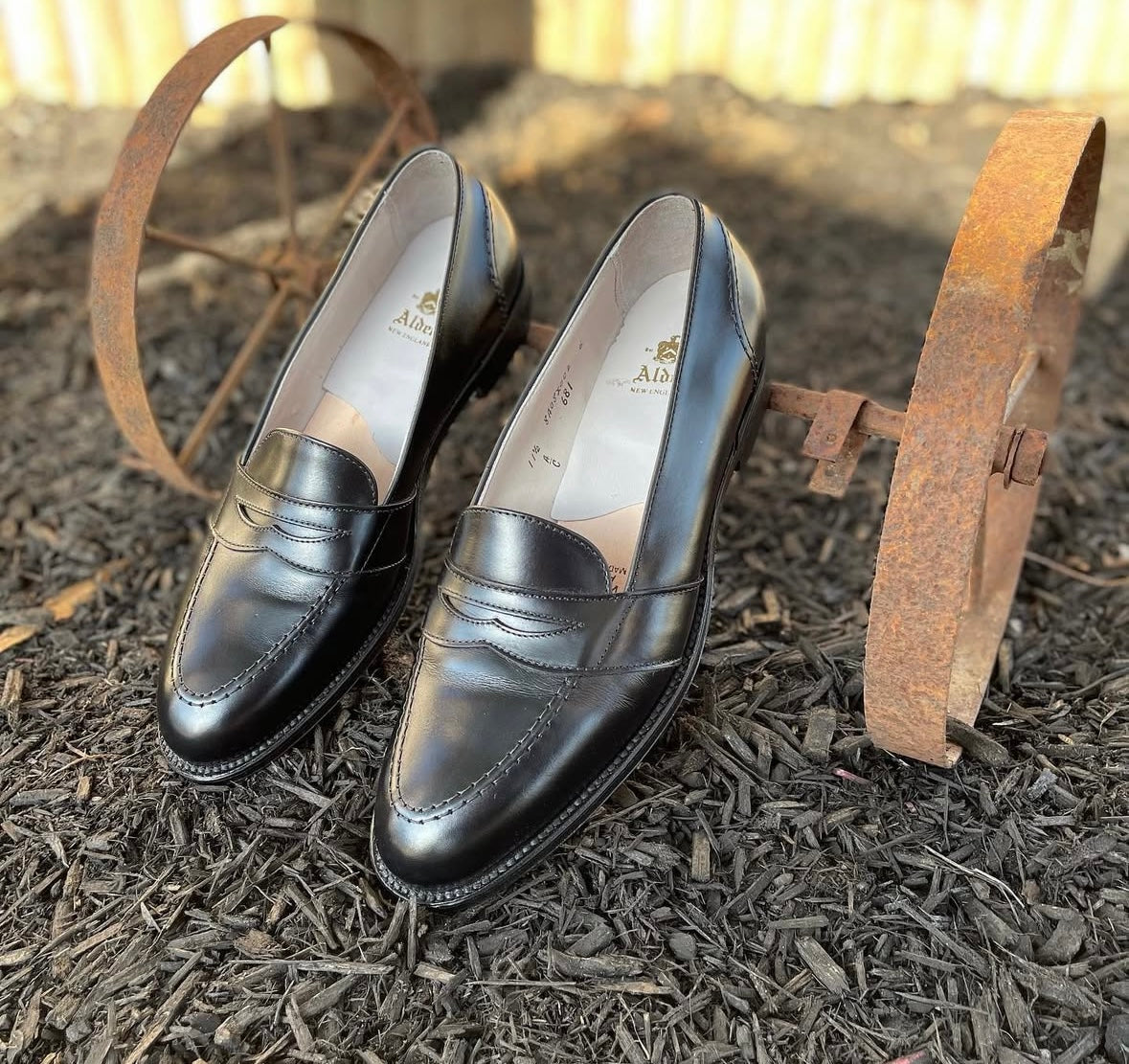 681 - Full Strap Loafer in Black Calfskin – ALDEN SHOES