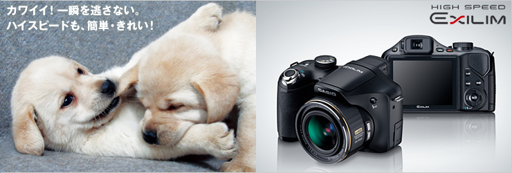 EX-FH25 - デジタルカメラ - CASIO