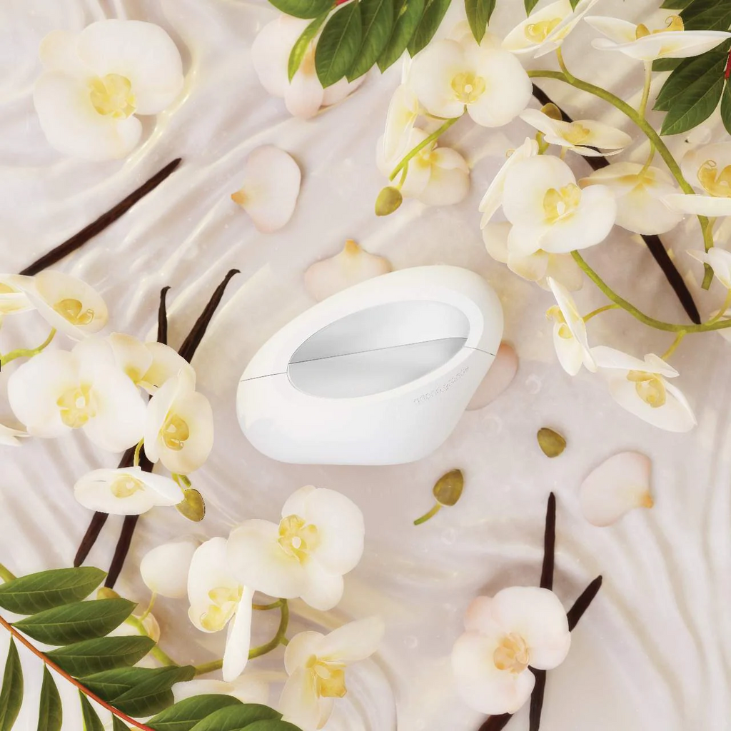 MOD Vanilla by Ariana Grande | Warm, Creamy & Modern Perfume