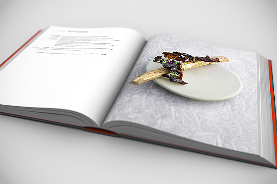 Drenov.dk – 3D Computer Images & Animation » Archive » Book in 3D