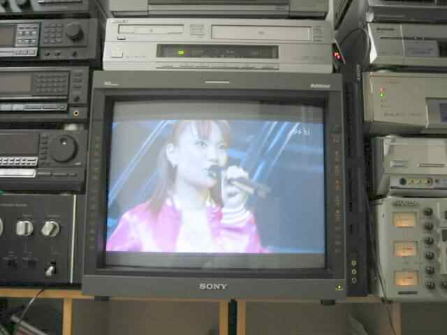 SONY 業務用マルチフォーマットビデオモニター PVM－D20L5J型