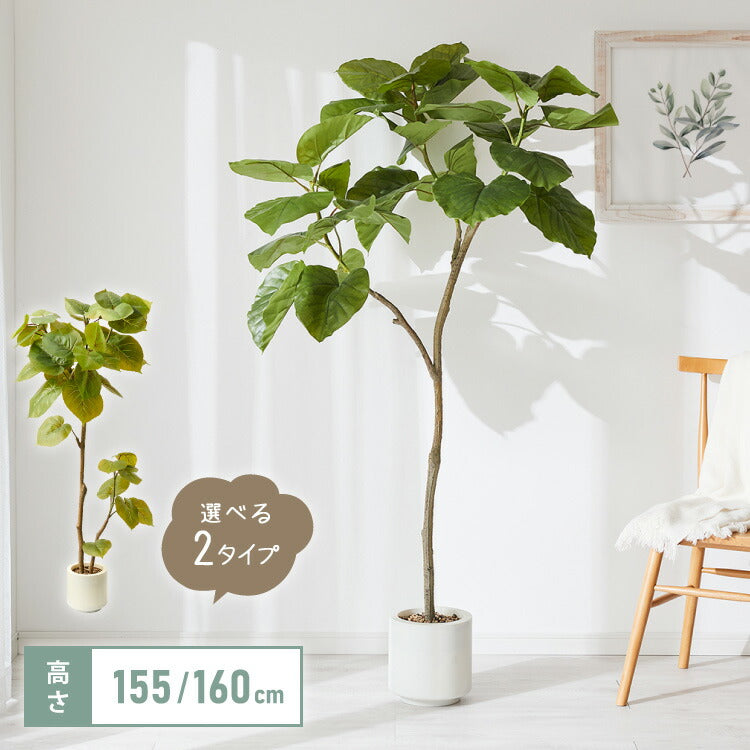 人工観葉植物 ウンベラータ フェイクグリーン 大型 155cm 160cm