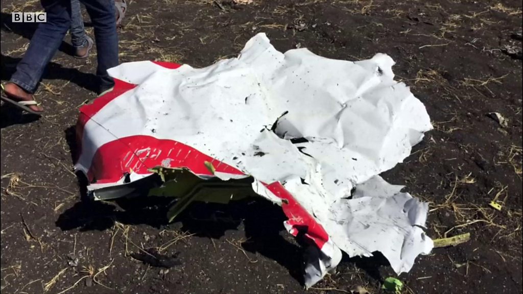 生存者ゼロ……エチオピア航空機の墜落現場 - BBCニュース