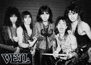 VEIL / ヴェイル ページ-