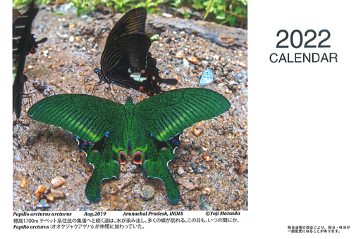 六本脚ニュース