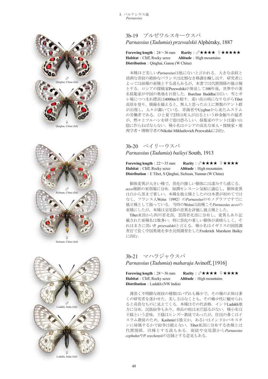 世界のアゲハチョウ図説特設ページ