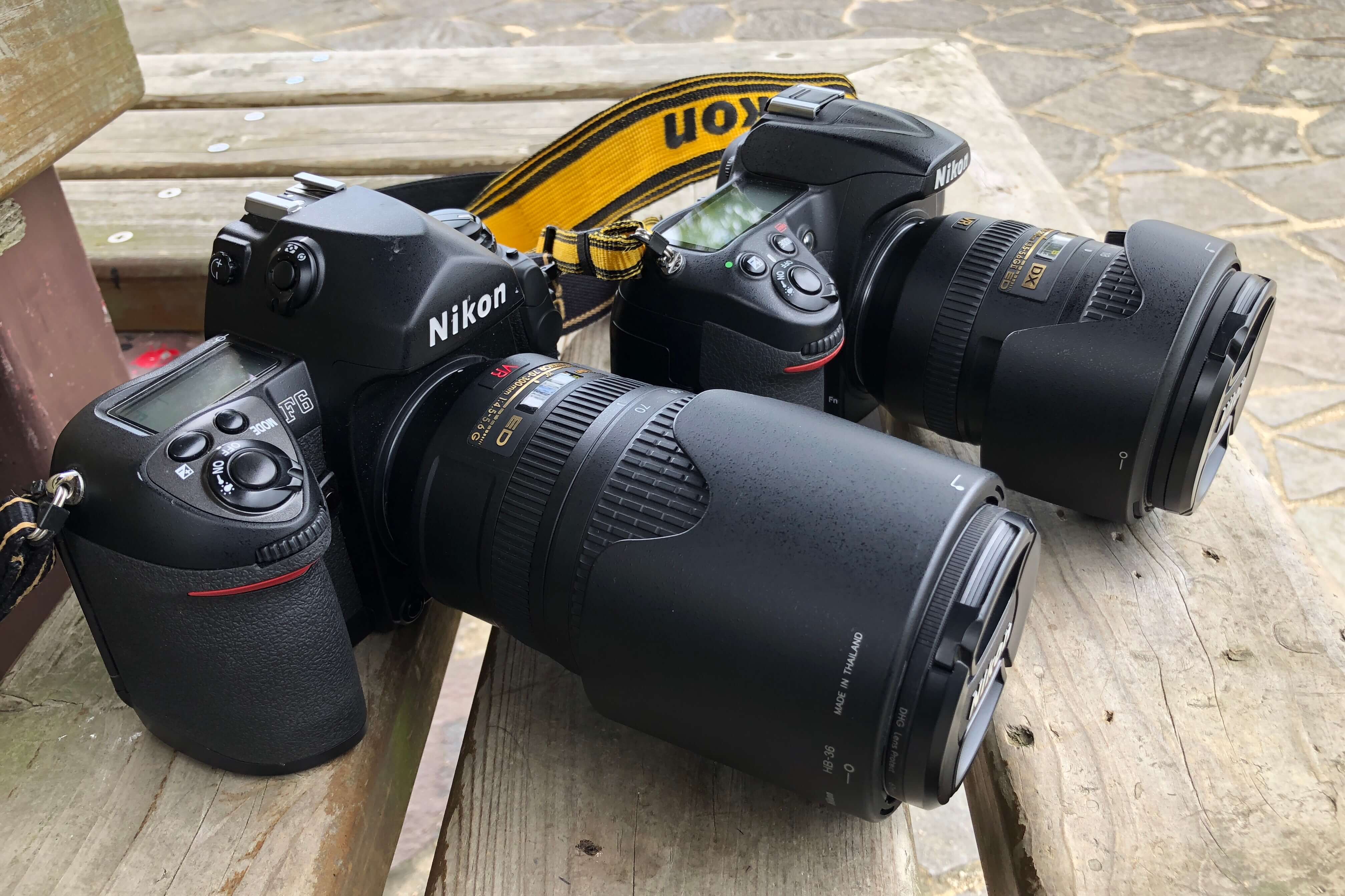 フィルム×望遠というのもなかなか興味深いと思う今日この頃。｜記憶カメラ