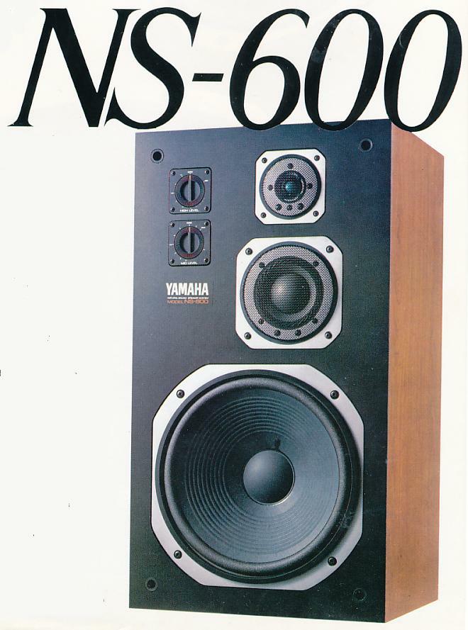 NS-600