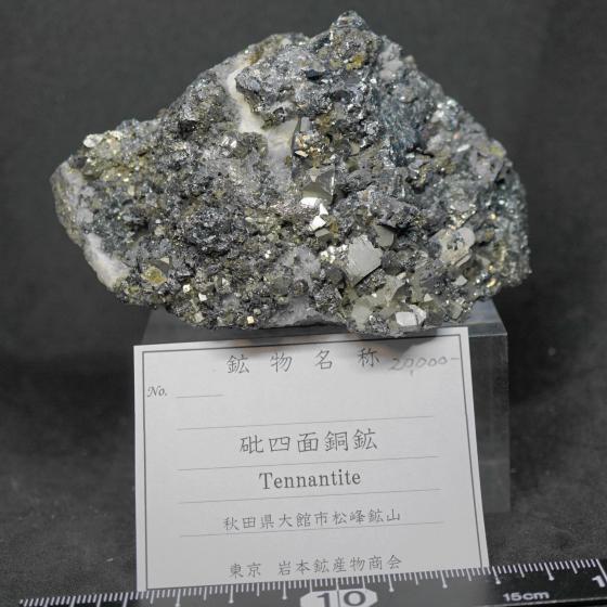日本産鉱物・JAPAN ＞ 東北地方 ＞ 砒四面銅鉱・Tennantite
