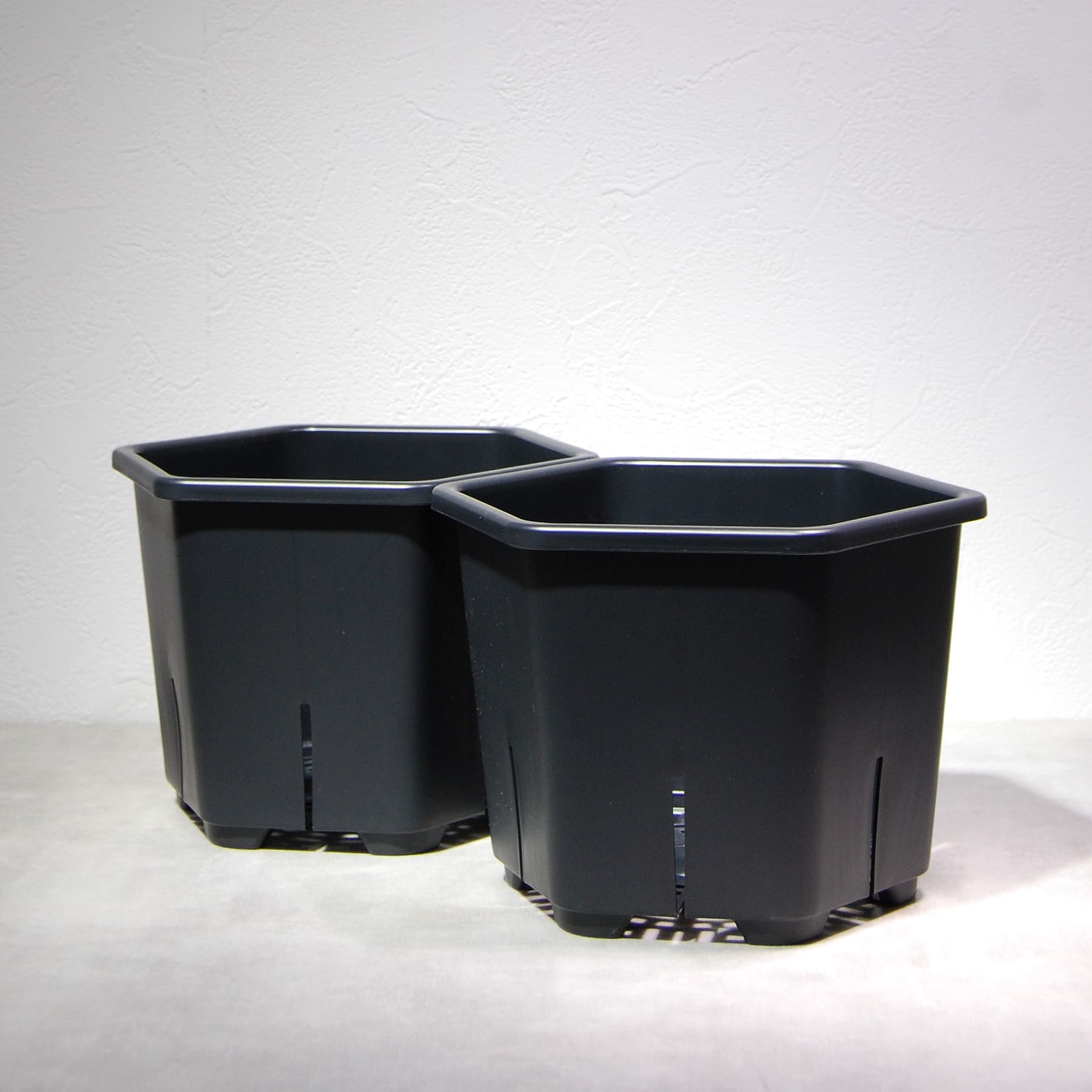 HexaPot（ヘキサポット）六角形プラ鉢 5号相当 – linkplants -リンク