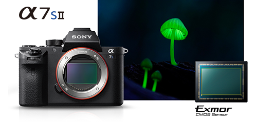 超高感度＋5軸手ブレ補正内蔵「α7SII（ILCE-7SM2）」 国内発表スペック