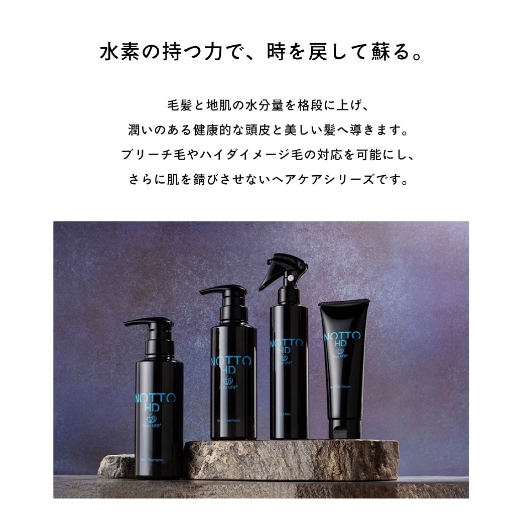 A倉庫】NEW【公式/正規販売店】NOTTO HD No.2 トリートメント 300g