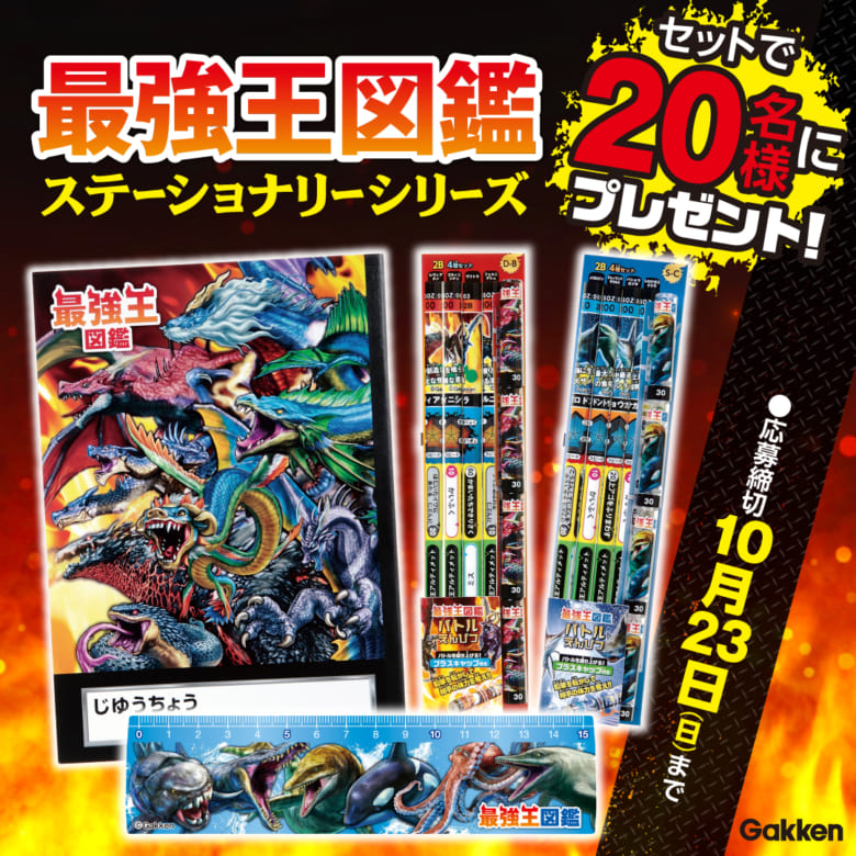 王薌齋・気功関連書籍セット 王薌齋・気功関連書籍セット 王薌齋・気功