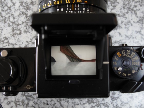 Canon F-1 -(6) 低めのアングル-: ☆ひゅ～ずのblog☆