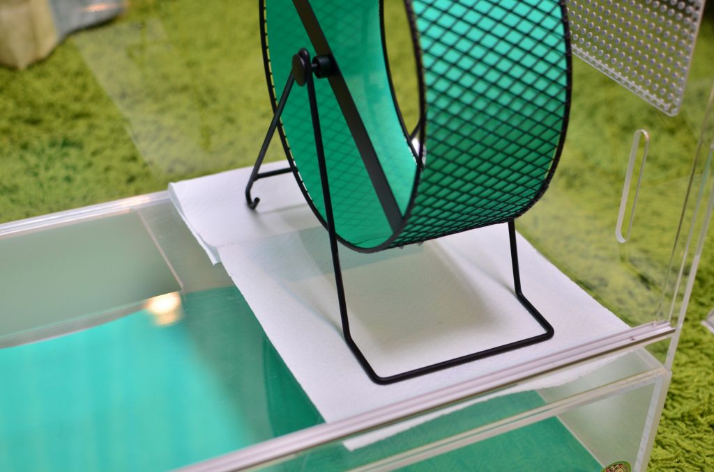 本気レビュー】ハリネズミ用アクリル飼育ケージの使用感 | 我が家の