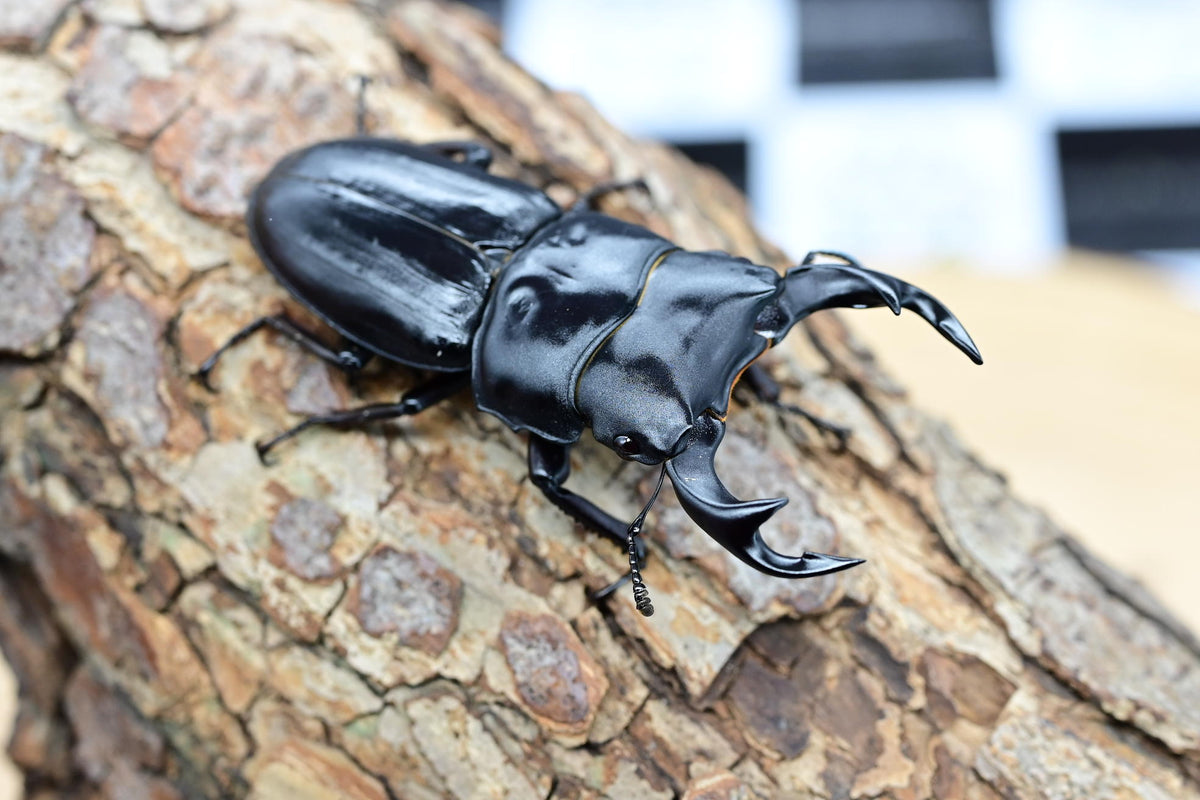 KTZ_8958_d833e0a1-b646-4b03-