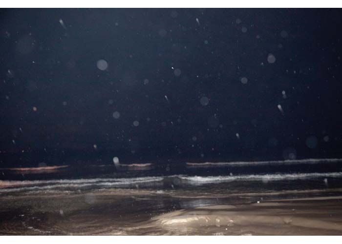 川内倫子 Halo Rinko Kawauchi Halo (English) | HeHe