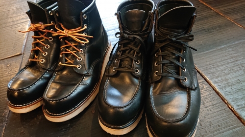 レッドウイングとセダークレスト | ゼブログ!!